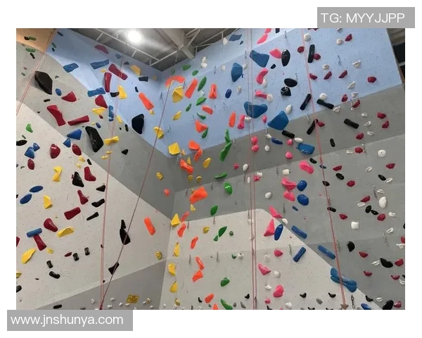 上海攀岩队的阵地战揭秘:探索攀岩热点与未来发展趋势